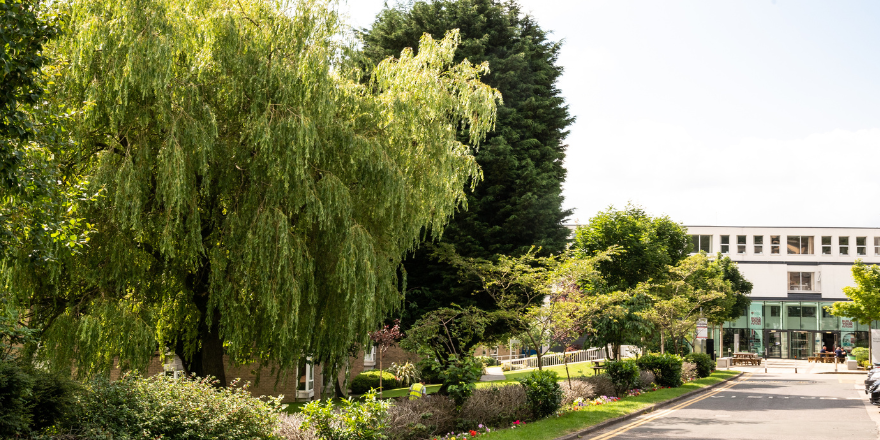 An image of the trees in front main reception at Leeds Trinity University